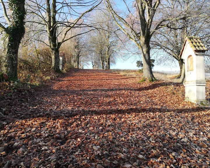 Landgasthof Sonne